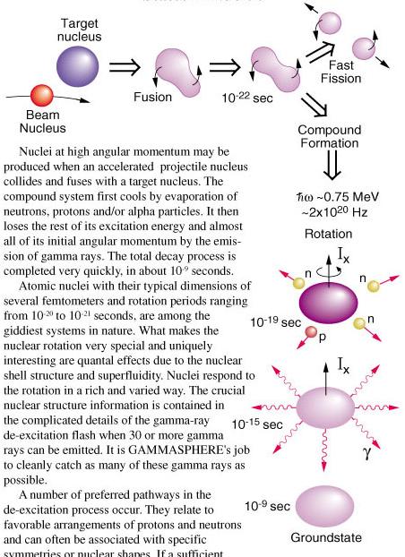 Reazioni fra ioni pesanti permettono di popolare stati nucleari ad alto momento angolare anche > 4 h nucleo bersaglio nucleo proiettile fusione 1 - sec fissione veloce formazione nucleo composto