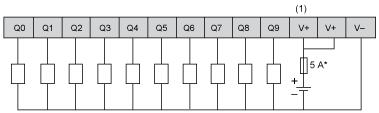 Connessioni e schema Uscite transistor (*) Fusibile tipo T (1) I morsetti