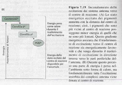 Durante il trasferimento una parte