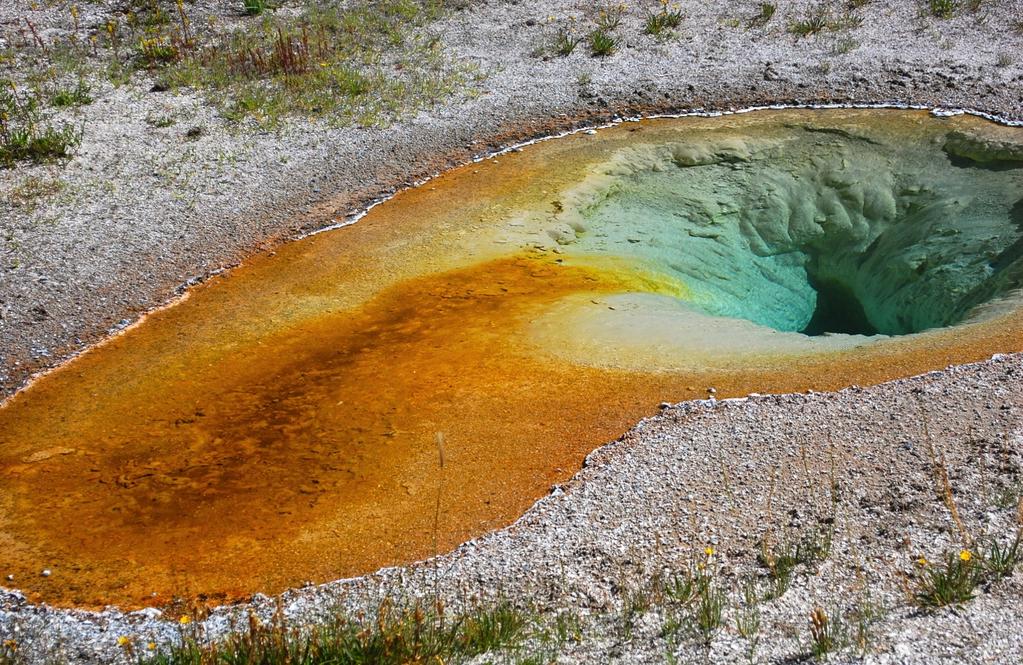 Il corso di studio unificato in Scienze Geologiche prepara una Laurea