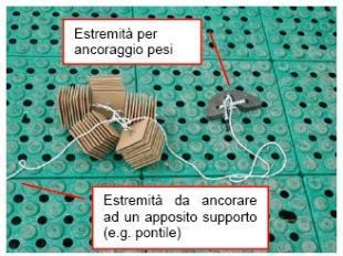 gruppi di 5 substrati artificiali Lasciati in posto 30 giorni (periodo di