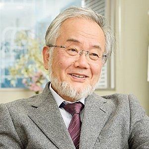 Il premio Nobel 2016 per la medicina è stato assegnato al giapponese Yoshinori Ohsumi per