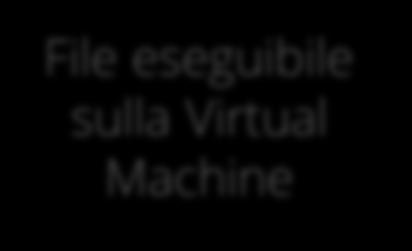 che per la Virtual Machine Flash (Adobe