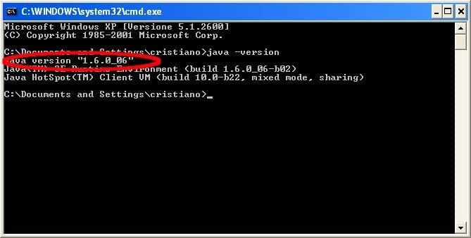 Se la risposta al comando precedente contiene la scritta java version 1.6..., allora la versione della JRE è già installata e si può procedere direttamente all installazione di ADaMSoft.