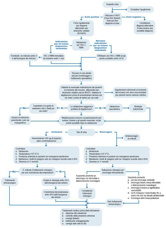 Flow chart: percorso terapeutico