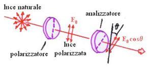 La luce naturale non è polarizzata, cioè il campo elettrico E vibra in tutte le direzioni (perpendicolari alla direzione di propagazione).