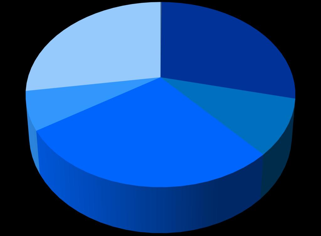 Es. Comune di Torino % SPESA CORRENTE PER AREA ANNO 2009 dirette 0,16% neutra 27% circoscrizioni 7% qualità dell ambiente 28%