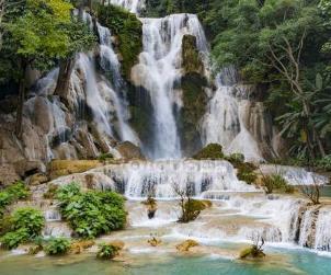 In seguito, partenza per le Cascate di Kuang Sy, le cui acque cadono giù sulle formazioni calcaree creando delle bellissime piscine azzurre dove è possibile fare il bagno.