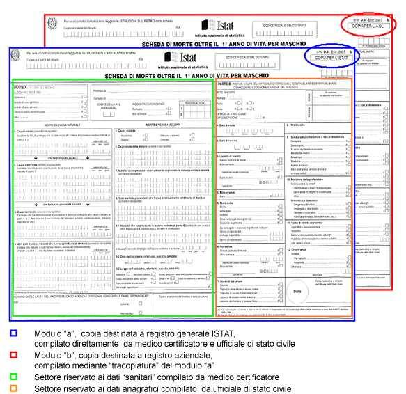 I decessi sono registrati tramite la scheda ISTAT di morte, nella quale sono riportati i dati anagrafici e le informazioni relative al decesso (luogo e data di morte). Fig.