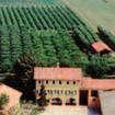 LE AZIENDE DI PROGETTO AZIENDA Azienda pilota e dimostrativa DIANA via Altinia, 14 31021 Mogliano Veneto (Treviso) Tel. 041.4566055 - fax 041.5935448 e-mail: diana@venetoagricoltura.