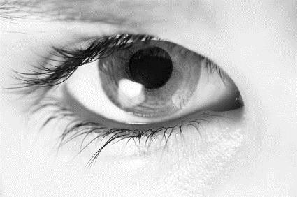 LUCE E COLORE La descrizione del meccanismo associato alla visione è stata oggetto di dibattito per diversi secoli La fisiologia dell'occhio