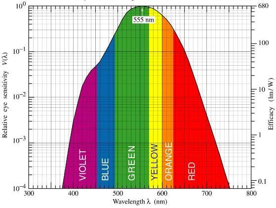 OLTRE IL VISIBILE La banda di colore al di sopra dei 700/750 nm non è percepita dall occhio umano, ma può essere registrata dagli stessi sensori CCD
