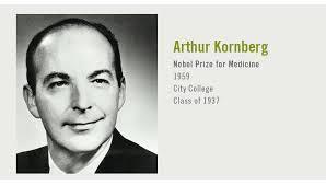 Metà degli anni 50: Arthur Kornberg inizia a studiare il meccanismo di replicazione del DNA. Nel 1957 identifica la prima DNA polimerasi.