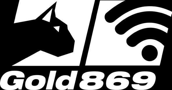 9565-GOLD-SOFT-WIFI