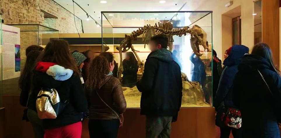 San Vittore alle Chiuse Il Museo ospita un reperto fossile di Ittiosauro rinvenuto nel circondario di