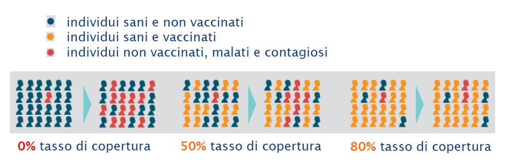 Immunità di gruppo o di comunità Un elevata copertura vaccinale (> 95%) è in grado di fornire un immunità di gruppo, proteggendo in questo modo le comunità dai rischi di diffusione delle malattie.