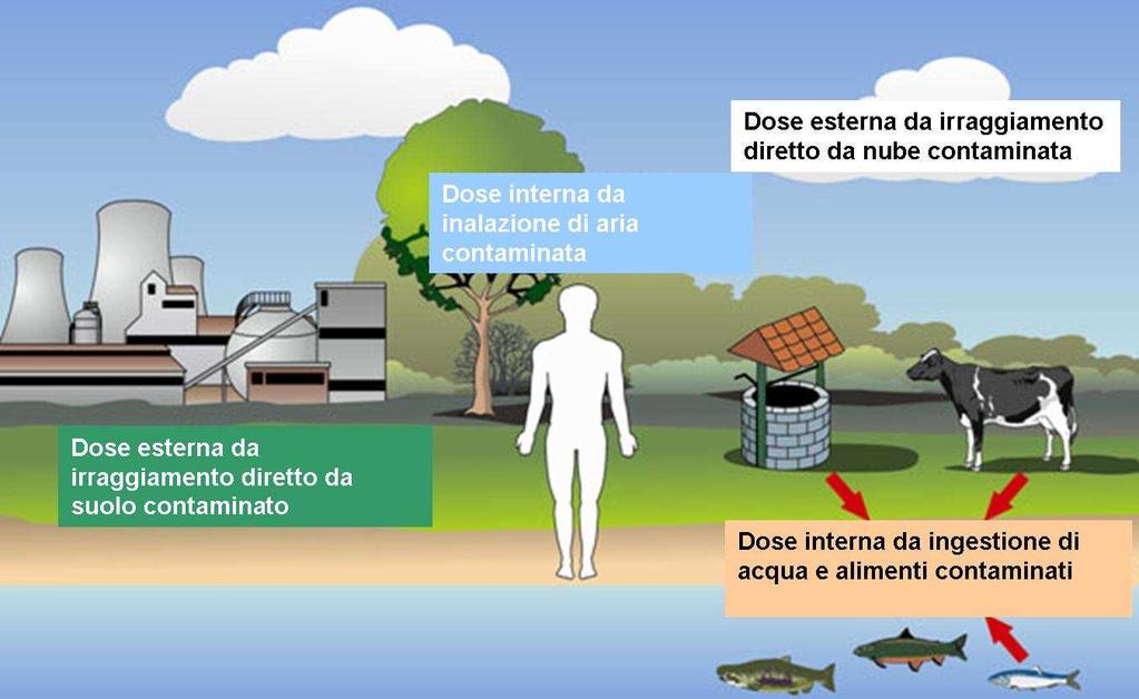 3. ATTIVITA SVOLTE DALL IMPIANTO Nel corso del 2007 presso la Centrale Nucleare E.