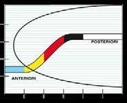 NEOSENTALLOY Arco intermedio termo-attivo che sfrutta la sua superelasticità con forze costanti e calibrate: 80 gr, 100 gr, 160 gr, 200 gr, 300 gr.