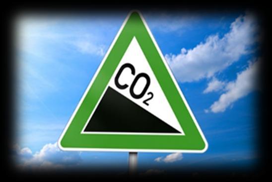 La politica europea di decarbonizzazione, cosa ne pensa l industria