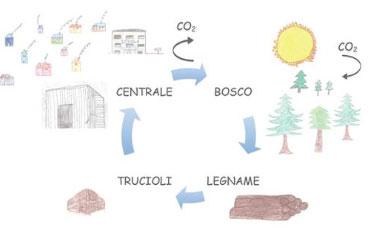 Uso del legno quale fonte energetica: sfide I numerosi aspetti intrinsecamente positivi dell energia del legno (rinnovabile, neutralità rispetto al CO 2, distanze brevi, indotto locale, ecc.