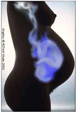 La donna in gravidanza subisce una serie di modificazioni fisiologiche che la rendono più suscettibile agli