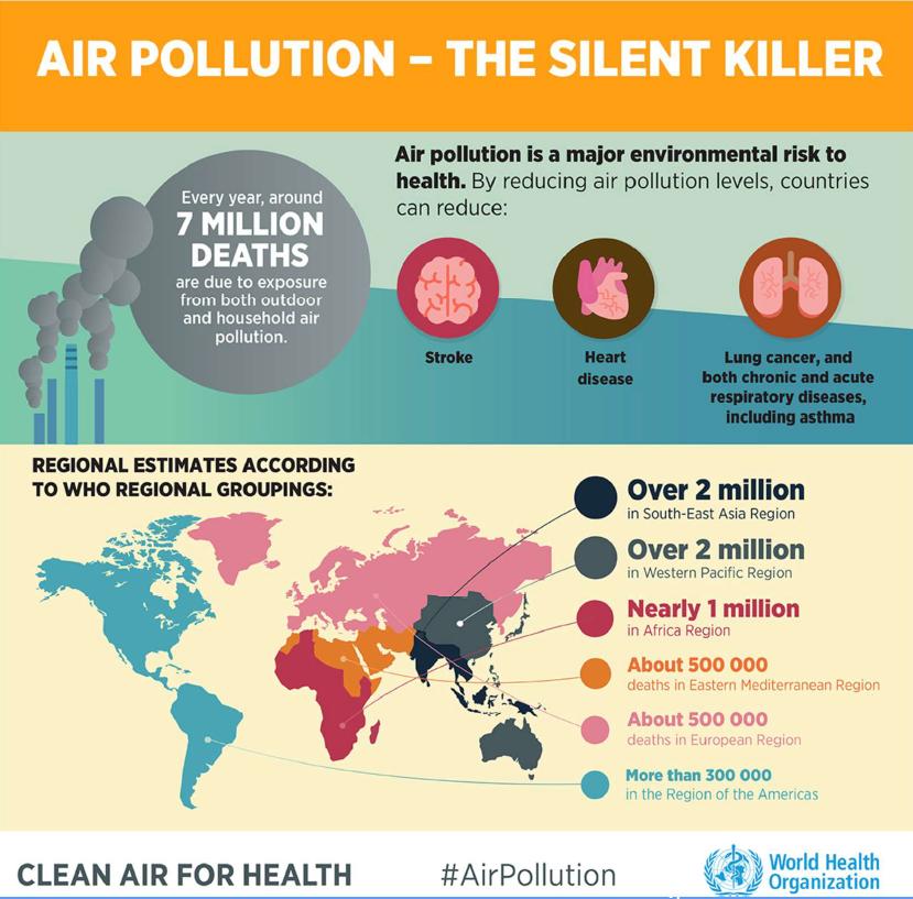 Gli aspetti ambientali Con i suoi 7 milioni di morti premature stimate, l inquinamento dell aria è ancora la principale causa di malattia e di morte nel mondo moderno.