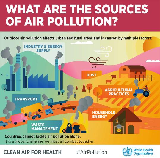 I principali inquinanti dell aria PM: combustione, traffico Black Carbon :combustione idrocarburi pesanti (diesel) NO2 : combustione, traffico «L'82 % DEGLI EUROPEI CHE LE O3 : effetto secondario