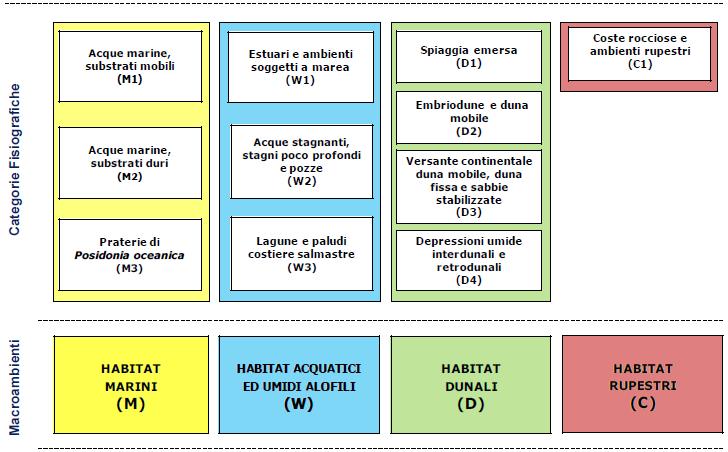 REALIZZAZIONE DELLE