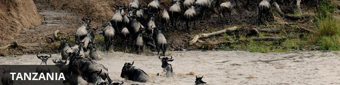 P a g i n a 16 Informazioni di Viaggio Il nome Tanzania evoca immagini di gnu che migrano attraverso vaste savane, foreste pluviali brulicanti di scimmie e avifauna, e grandi pianure piene di animali