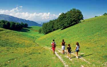 Offerte prenotabili dal 25 marzo al 24 aprile 2019 MONTAGNA MONTAGNA - TERME 119 108 Trentino Alto Adige - Ronzone (TN) Stella delle Alpi Wellness & Resort *** S 3 / 7 notti mezza pensione + utilizzo
