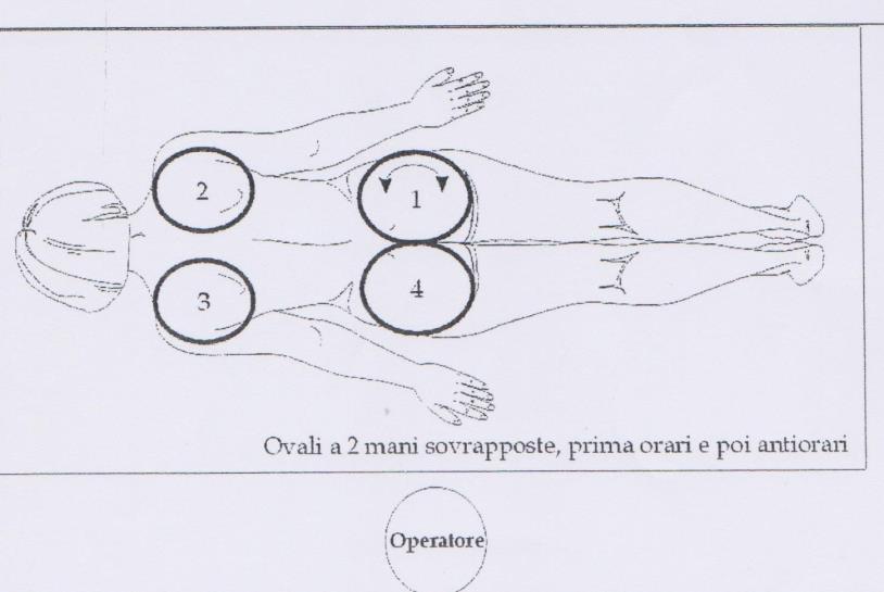 Fase B Trattamento schiena e glutei 15) Vengono tracciati quattro