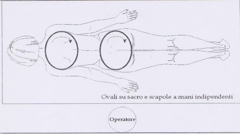 Prima in senso orario poi in senso antiorario (3-4 volte per ogni