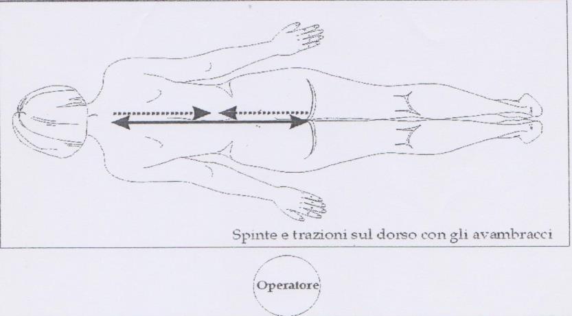 per lato) 20) Trazioni al centro del dorso lungo i