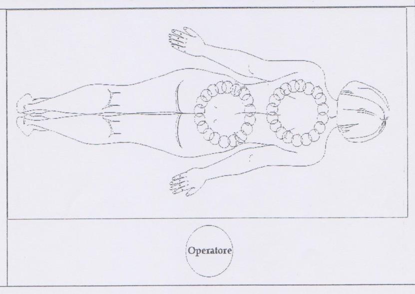 Fase B Trattamento schiena e glutei Distribuire olio su tutta la schiena con ampie spirali in senso orario 5) Eseguire una serie di movimenti rotatori leggeri, con ritmo lento e omogeneo a