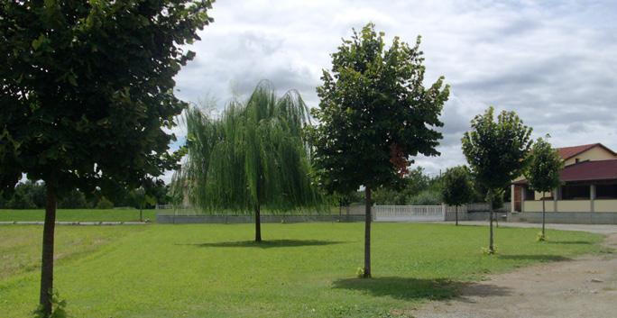 Passeggiate nel verde della Riserva Naturale della Vauda Risorse/attrezzature utilizzate Scoperta della ricchezza di varietà floristiche spontanee che caratterizzano la vegetazione della Riserva