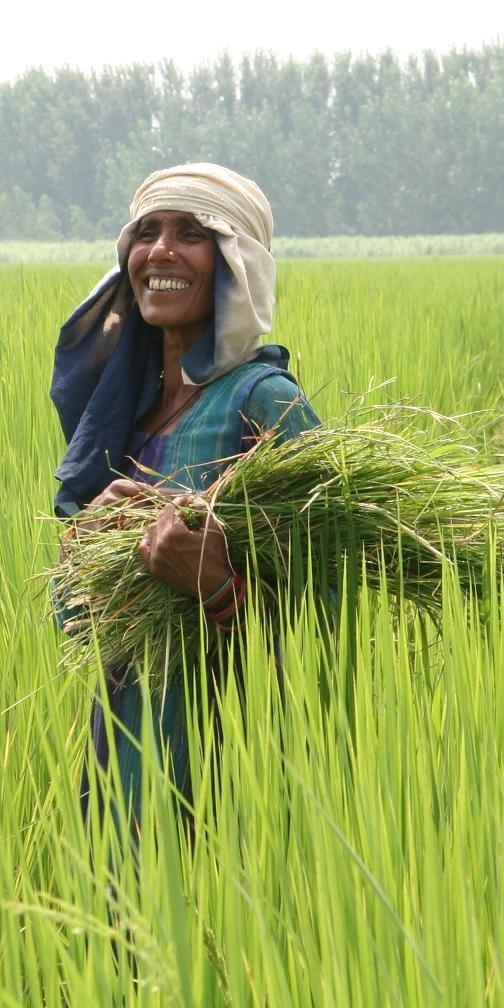 perché scegliere il commercio equo e solidale Rispetta l ambiente e promuove l agricoltura biologica Paga il giusto prezzo ai produttori del Sud del mondo Instaura rapporti diretti e continuativi