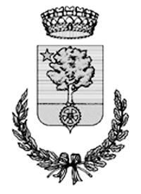 Comune di Verdellino (Provincia di Bergamo) Regolamento per la gestione dell IMU (Imposta Municipale Propria) Approvato con