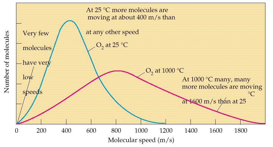 Distribuzione delle Velocità Molecolari umentando la temperatura, il massimo si sposta verso destra 2 3