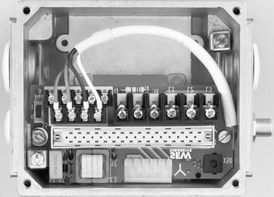 3 Convertitore MOVIMOT (con interfaccia AS-i integrata) 3.3 Convertitore MOVIMOT (con interfaccia AS-i integrata) 5 1 2 3 4 6 7 8 9 1 11 12 13 14 15 16 17 18 19 2 21 6413AXX 1.