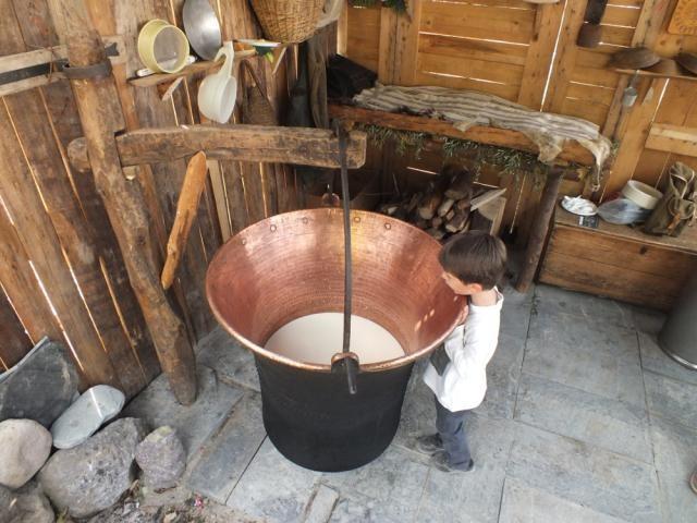 ALICE E IL FORMAGGIO Laboratorio del formaggio: l'alimentazione delle caprette, le proprietà del latte, vari