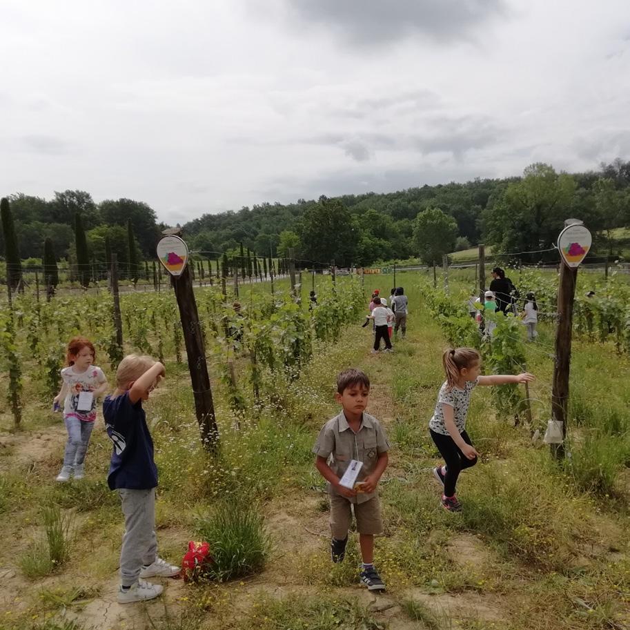 Caccia al tesoro in Fattoria * I destinatari del progetto sono gli alunni della scuola primaria e secondaria di primo grado.