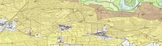 Sono individuate le zone agricole e forestali a prevalente interesse faunistico (C1), che svolgono un ruolo di protezione all ambito del fiume Ticino e