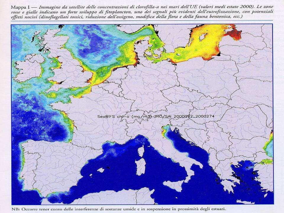 Aree sensibili Le aree costiere dell Adriatico Nord-Occidentale, dalla foce del Sile al delta del PO e l intero bacino scolante ad esse afferente Il delta del PO La laguna di Venezia e l intero