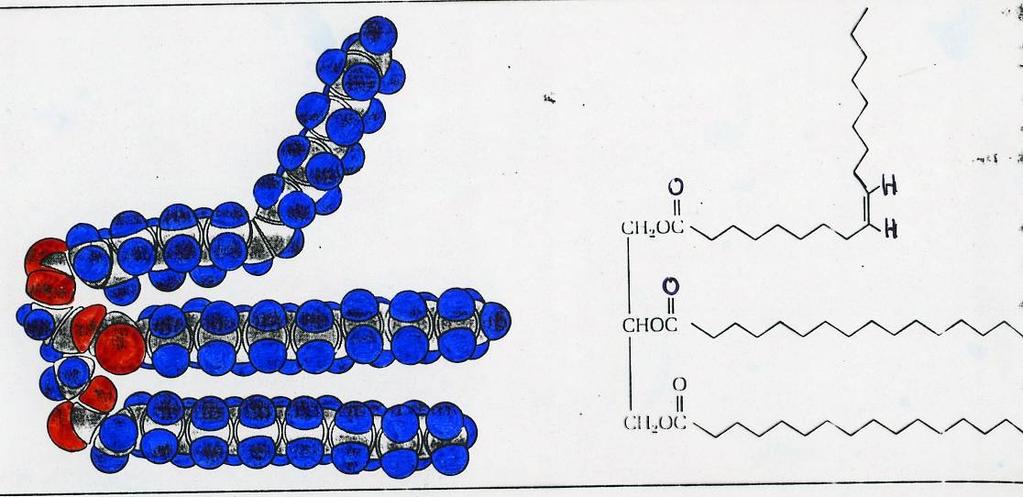 GLI OLI Le catene di una molecola non potranno allinearsi in un reticolo cristallino e la sostanza rimarrà liquida (a temperatura ambiente).