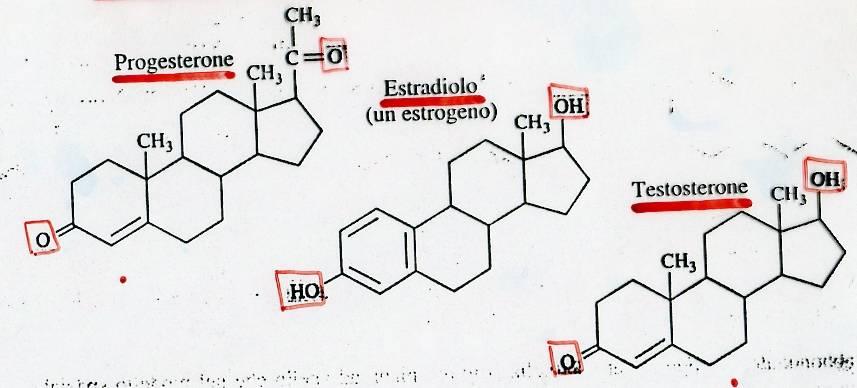 GLI ORMONI STEROIDEI Gli ormoni sessuali sono prodotti nelle ovaie e nei testicoli.