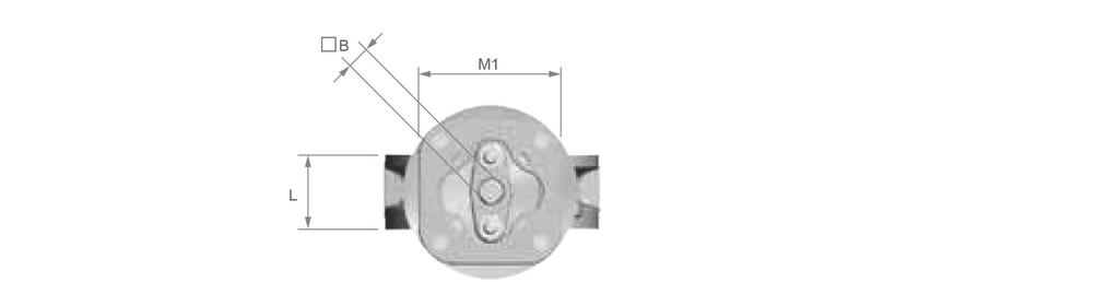 DIMENSIONI 0 WAFER DIMENSIONI (mm) ISO 5211 FLANGIA SUPERIORE MISURE DIMENSIONI FINITURA ALBERO PESO Valvola Castello DN Inch L H1 H2 H3 ØD ØD1 C C1 Tipo ØM Tipo M1 ØB B B1 Kg 2 43 99 118 60 92 37 49.