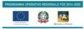 REGOLAMENTO INTERNO DEL COMITATO DI SORVEGLIANZA DEL PROGRAMMA OPERATIVO REGIONE VENETO FSE OBIETTIVO "INVESTIMENTI A FAVORE DELLA CRESCITA E DELL OCCUPAZIONE 2014-2020 (approvato dal Comitato di