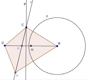 seguenti figure: