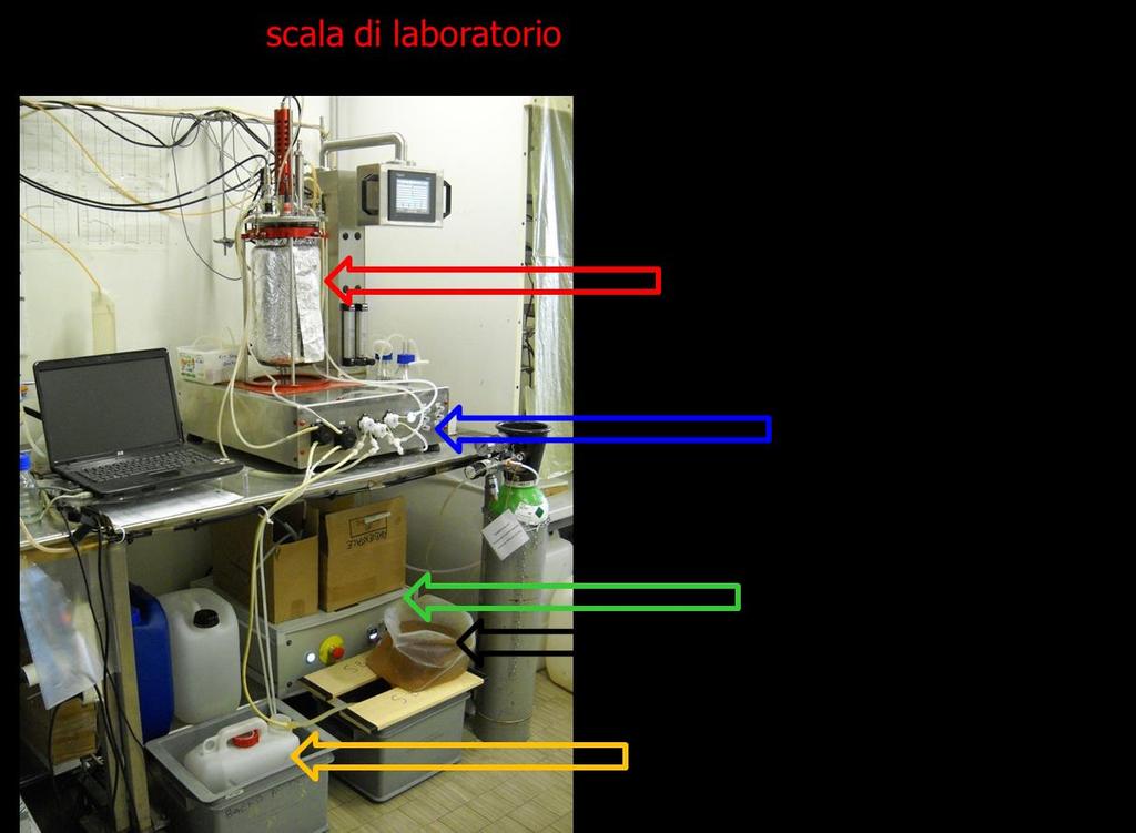 Risultati alla scala pilota: ANAMMOX 39 ANAMMOX: Il reattore@lab Scopo: valutazione potenziale inibizione refluo