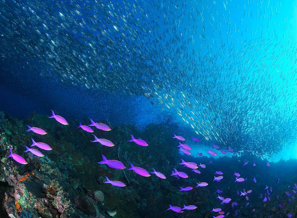 BLU 2011 impressioni fotografiche di Andrea Pivari Così tra questa immensità s